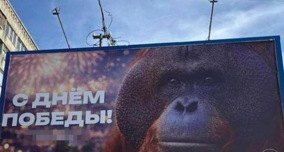 Фото Обезьяна поздравила с Днём Победы. В Новосибирске разгорелся скандал из-за баннера на 9 мая – реакция Роскомнадзора 2